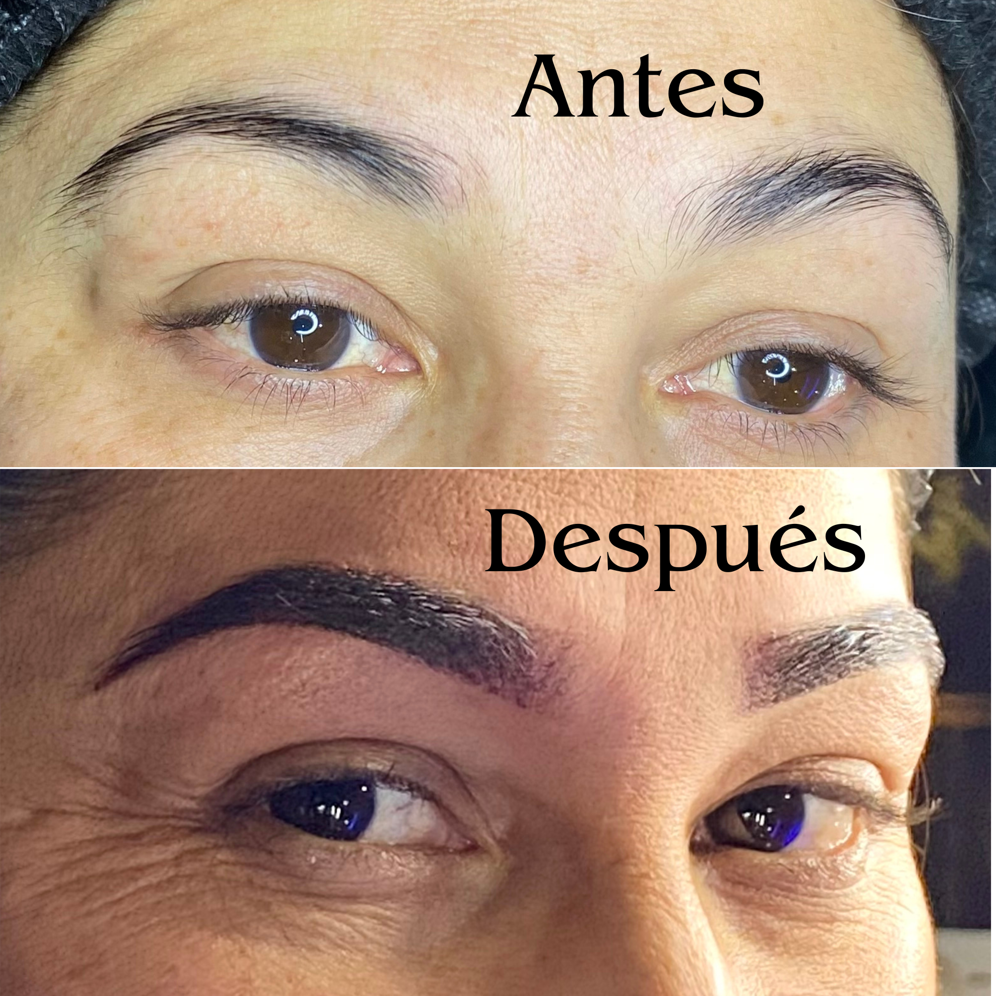 CEJAS EFECTO POLVO